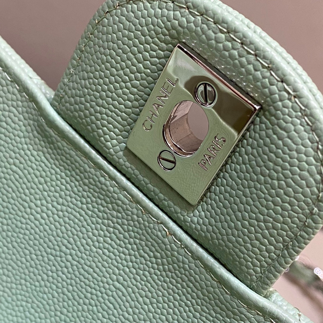 Mint Green Caviar Leather Medium Flap Bag - Level X