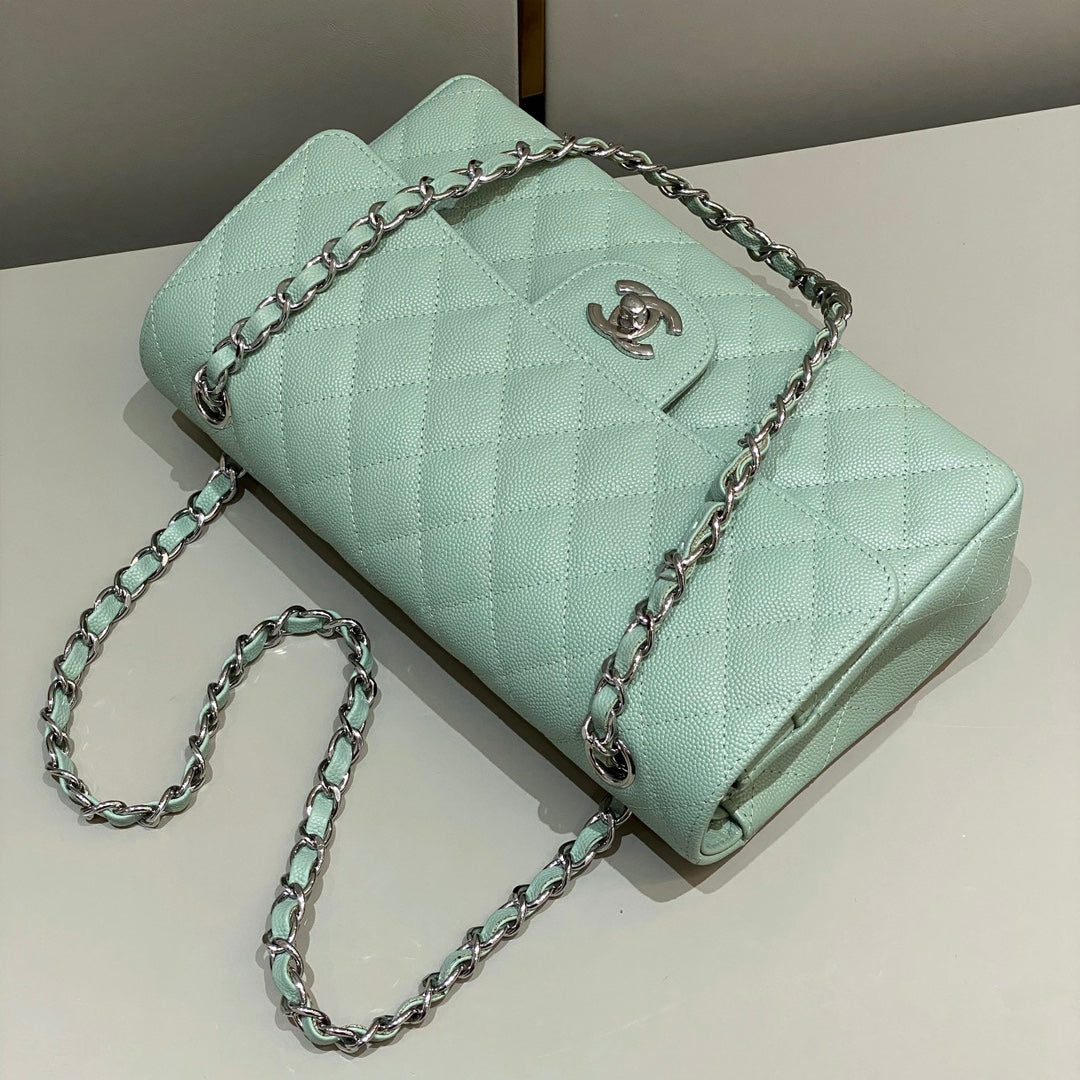 Mint Green Caviar Leather Medium Flap Bag - Level X