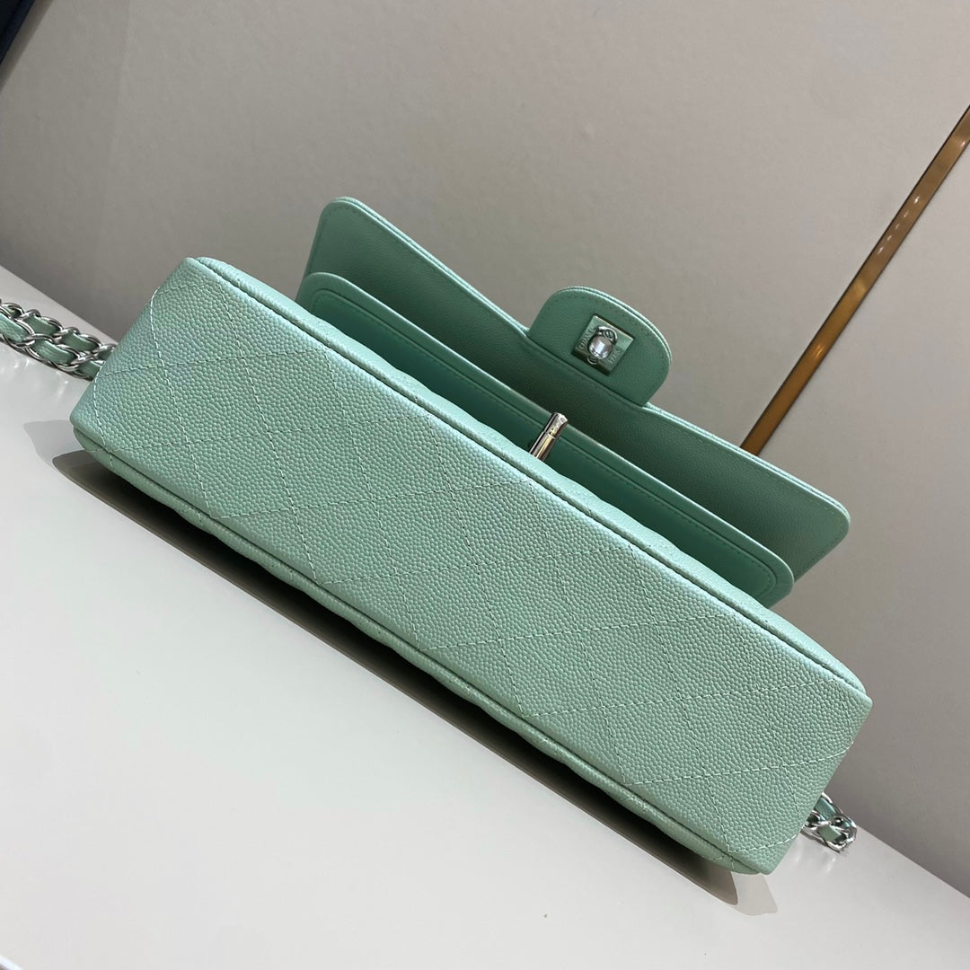 Mint Green Caviar Leather Medium Flap Bag - Level X