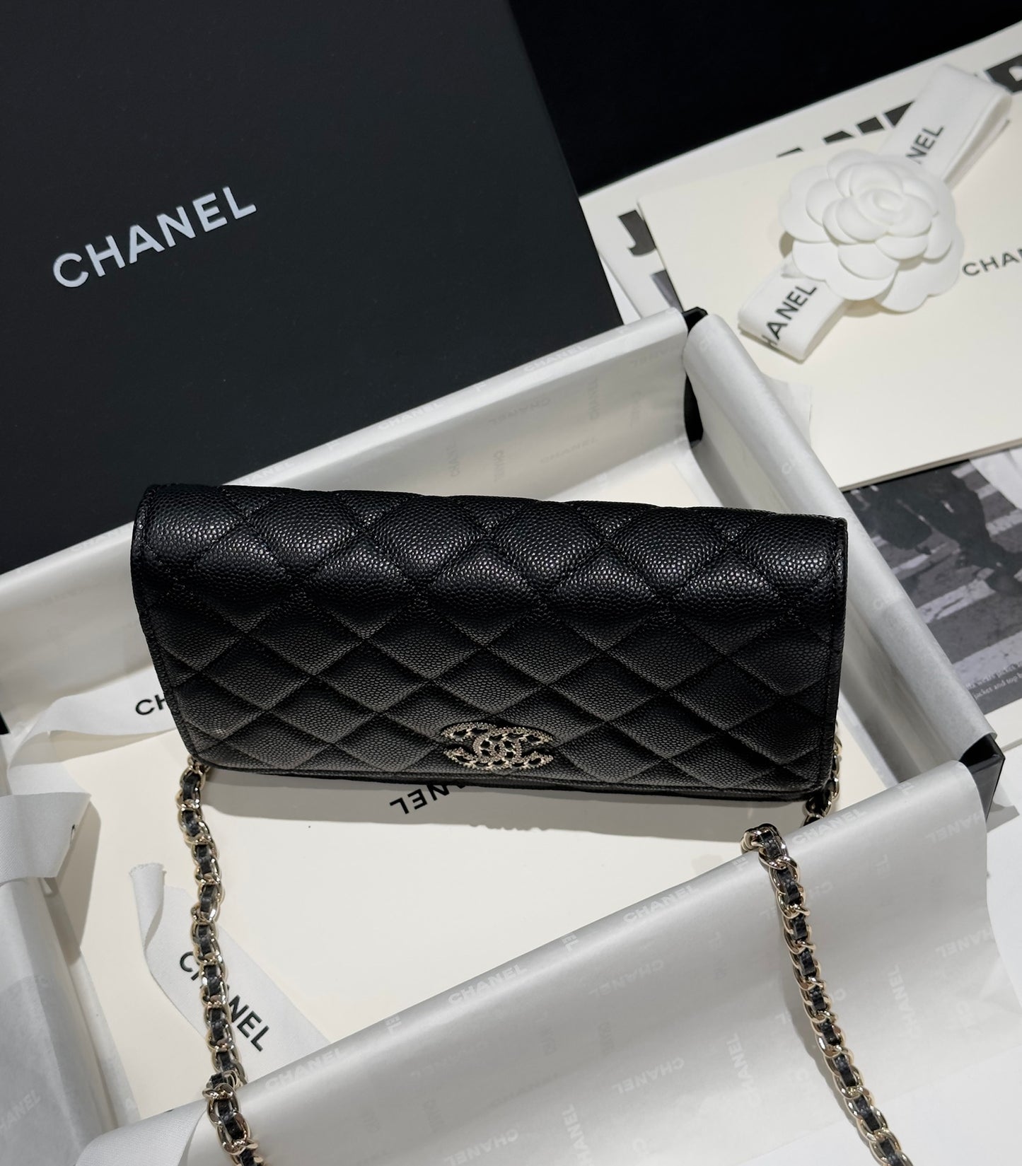 Diamond Black Caviar Leather Wallet On Chain - Level 5
