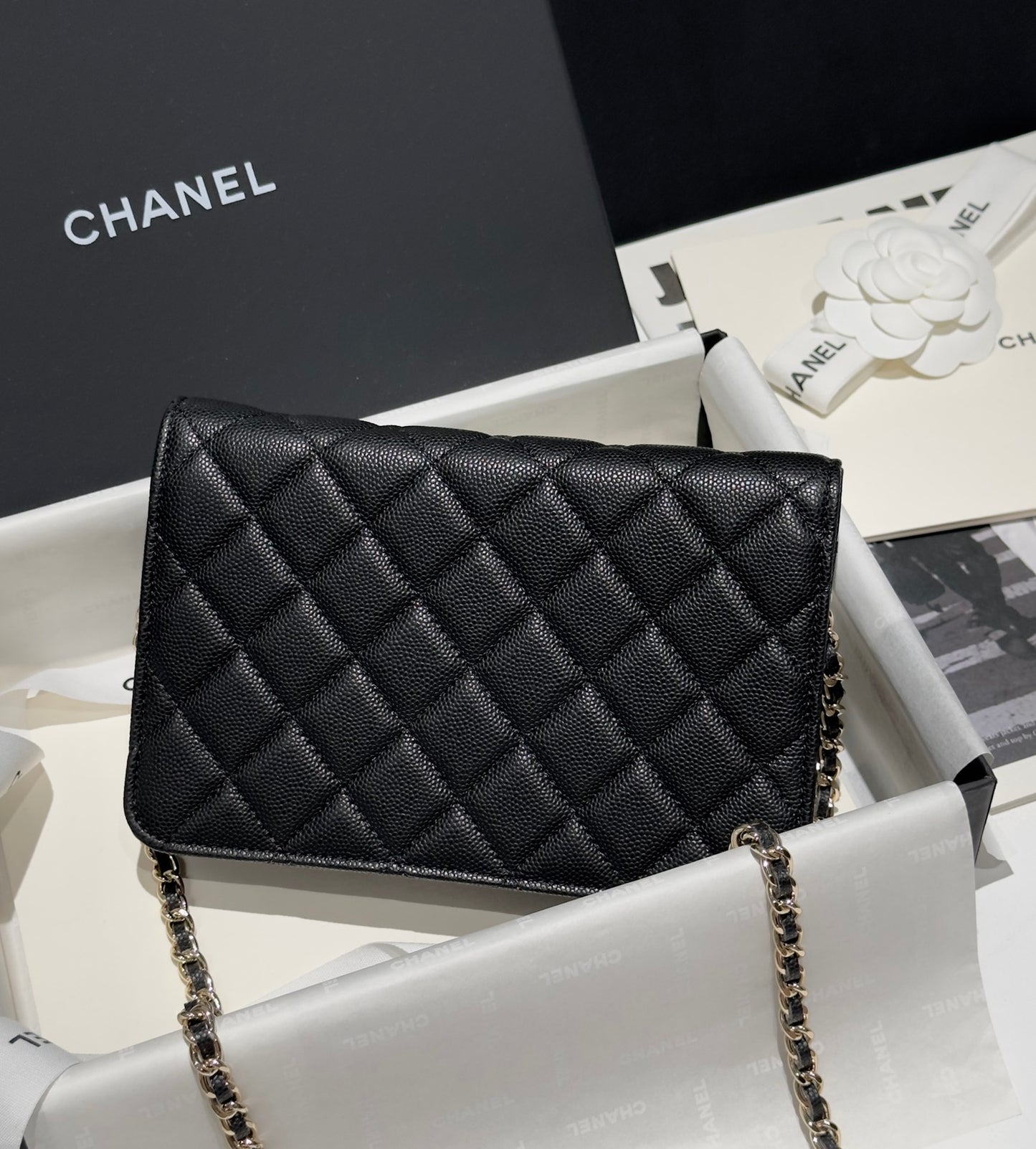 Diamond Black Caviar Leather Wallet On Chain - Level 5