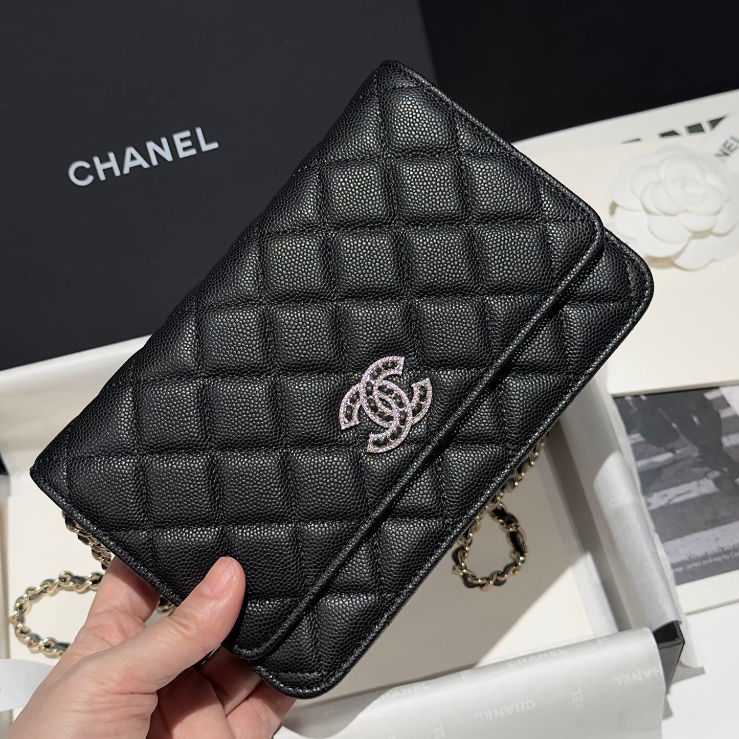 Diamond Black Caviar Leather Wallet On Chain - Level 5