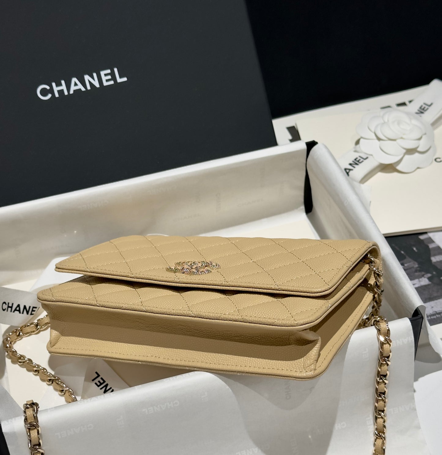 Diamond Beige Caviar Leather Wallet On Chain - Level 5