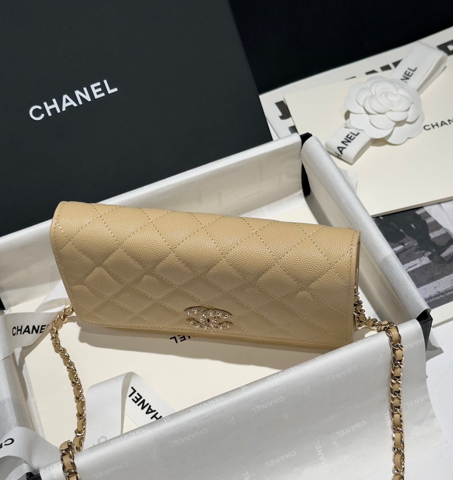 Diamond Beige Caviar Leather Wallet On Chain - Level 5
