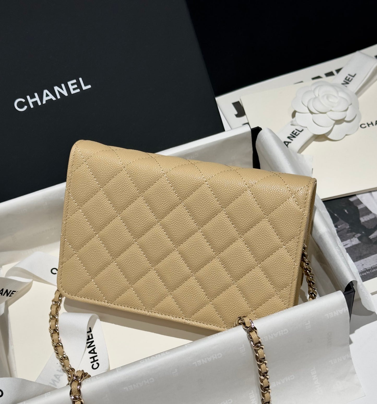 Diamond Beige Caviar Leather Wallet On Chain - Level 5