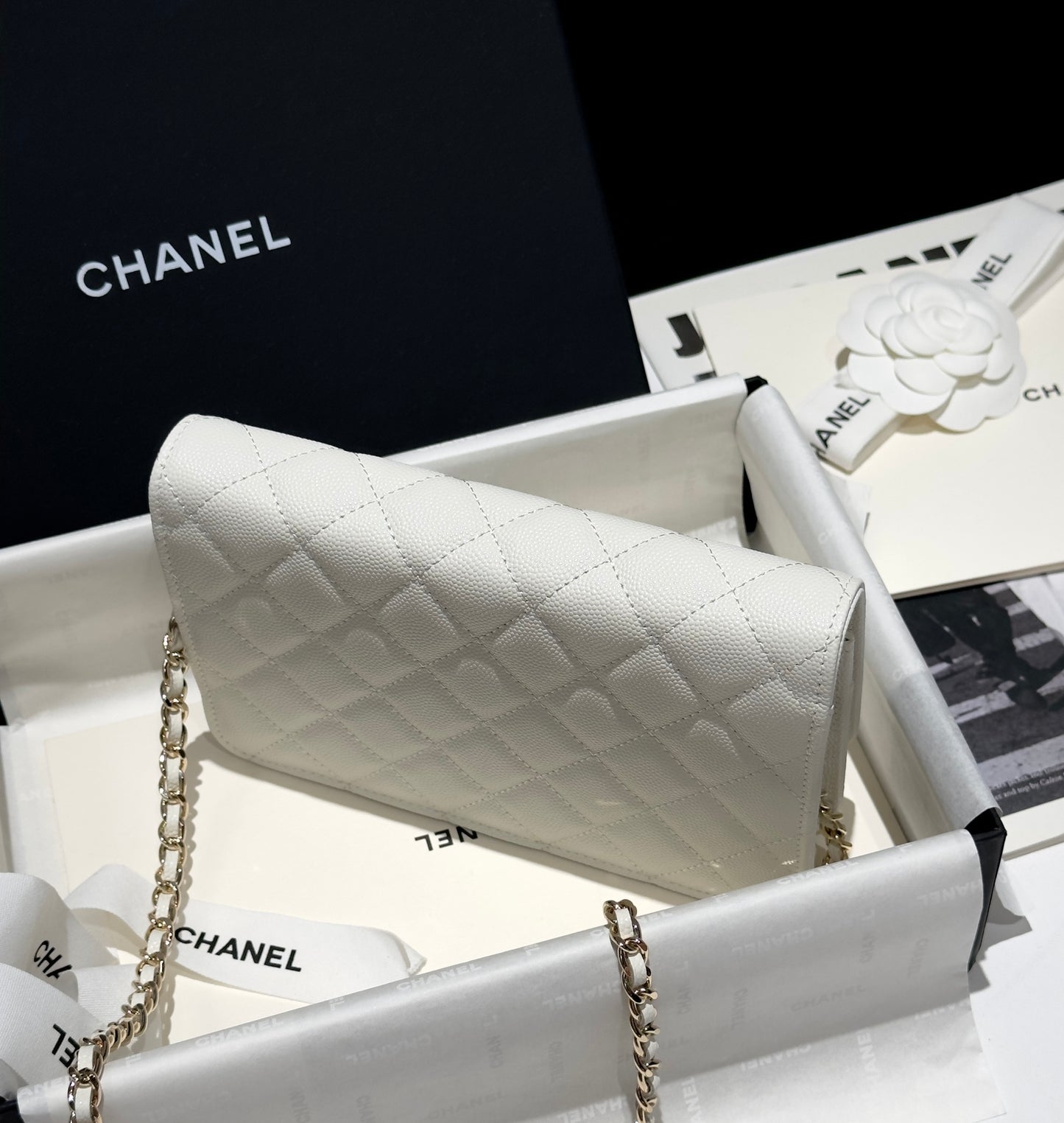 Diamond White Caviar Leather Wallet On Chain - Level 5