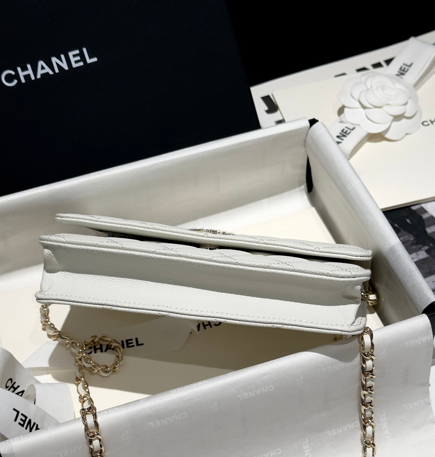 Diamond White Caviar Leather Wallet On Chain - Level 5
