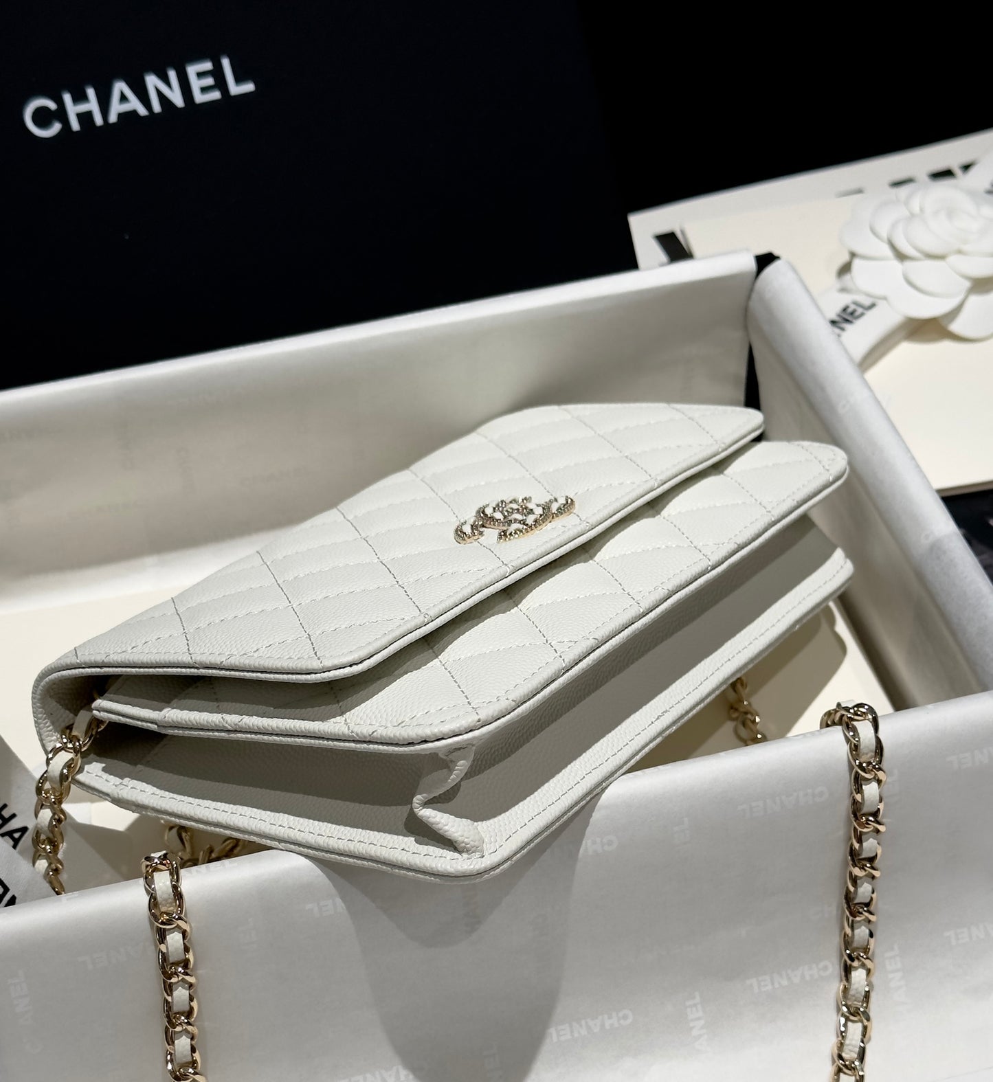 Diamond White Caviar Leather Wallet On Chain - Level 5