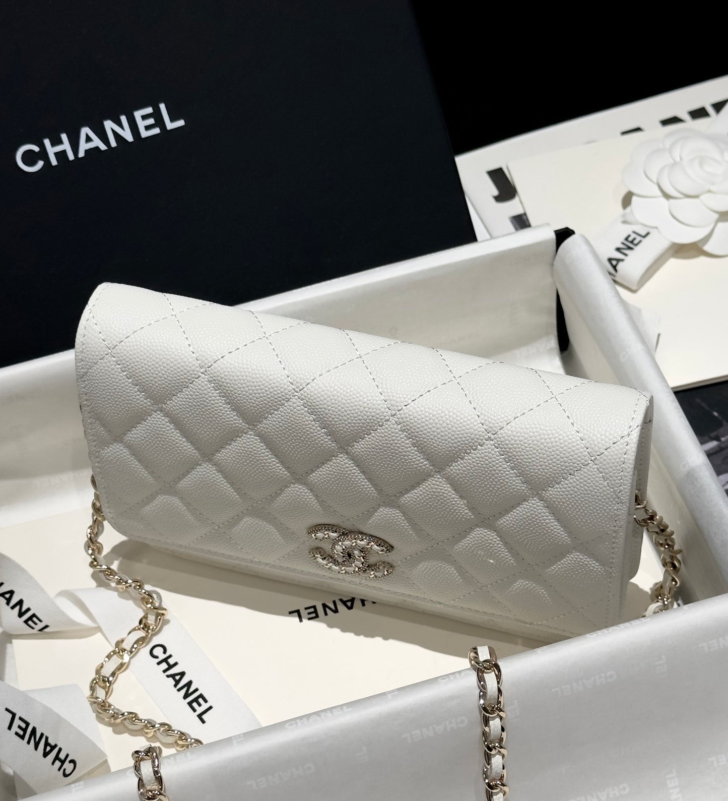 Diamond White Caviar Leather Wallet On Chain - Level 5
