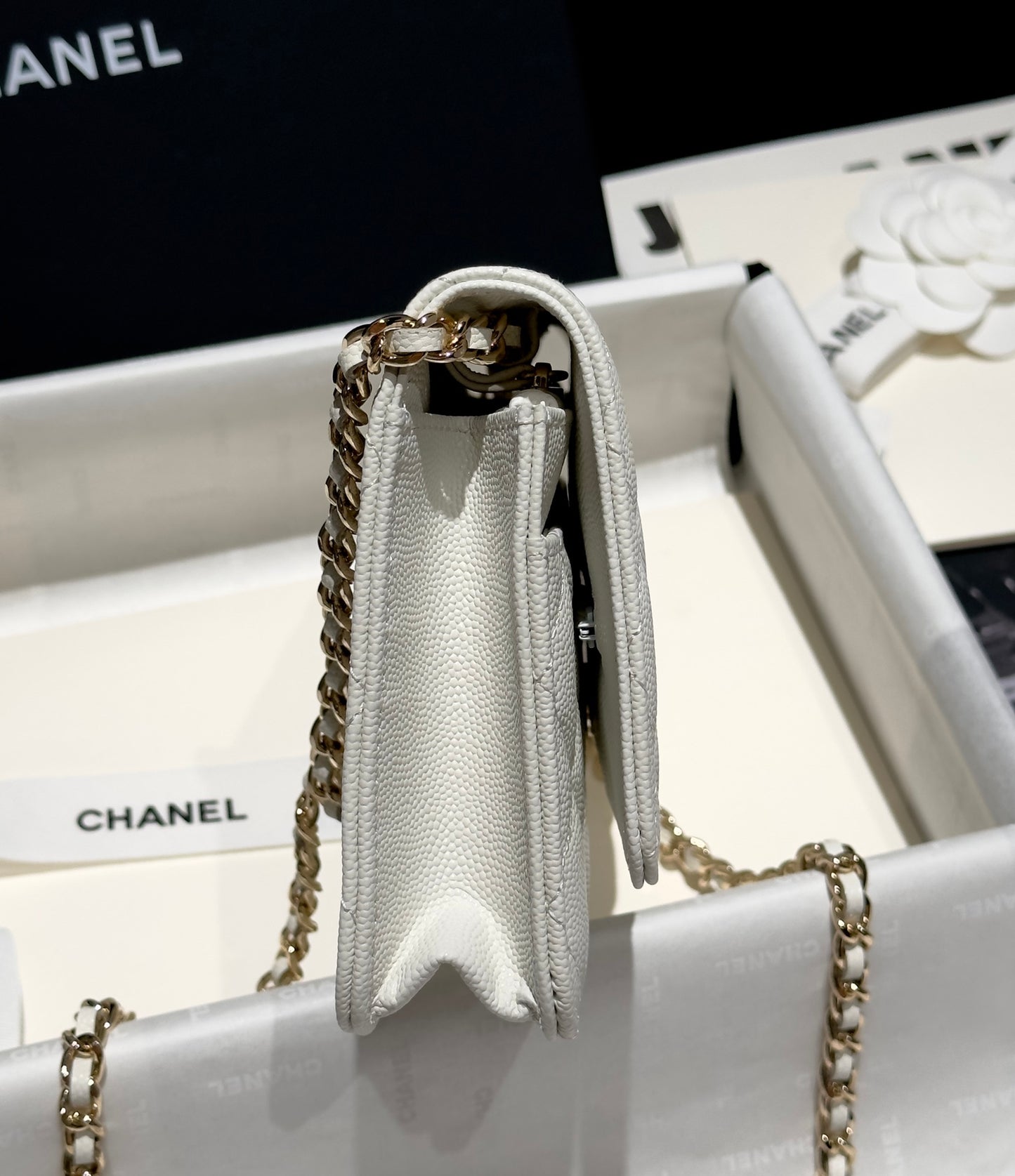 Diamond White Caviar Leather Wallet On Chain - Level 5
