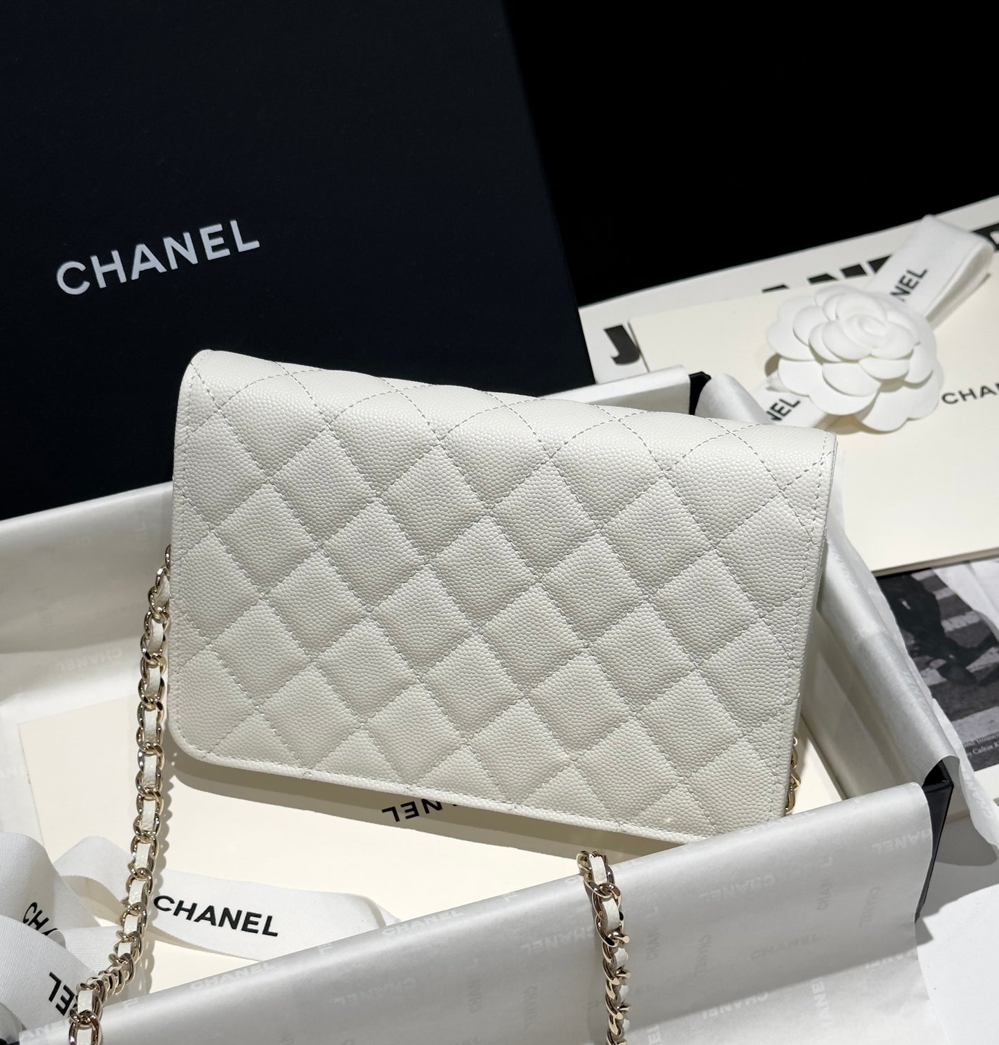 Diamond White Caviar Leather Wallet On Chain - Level 5