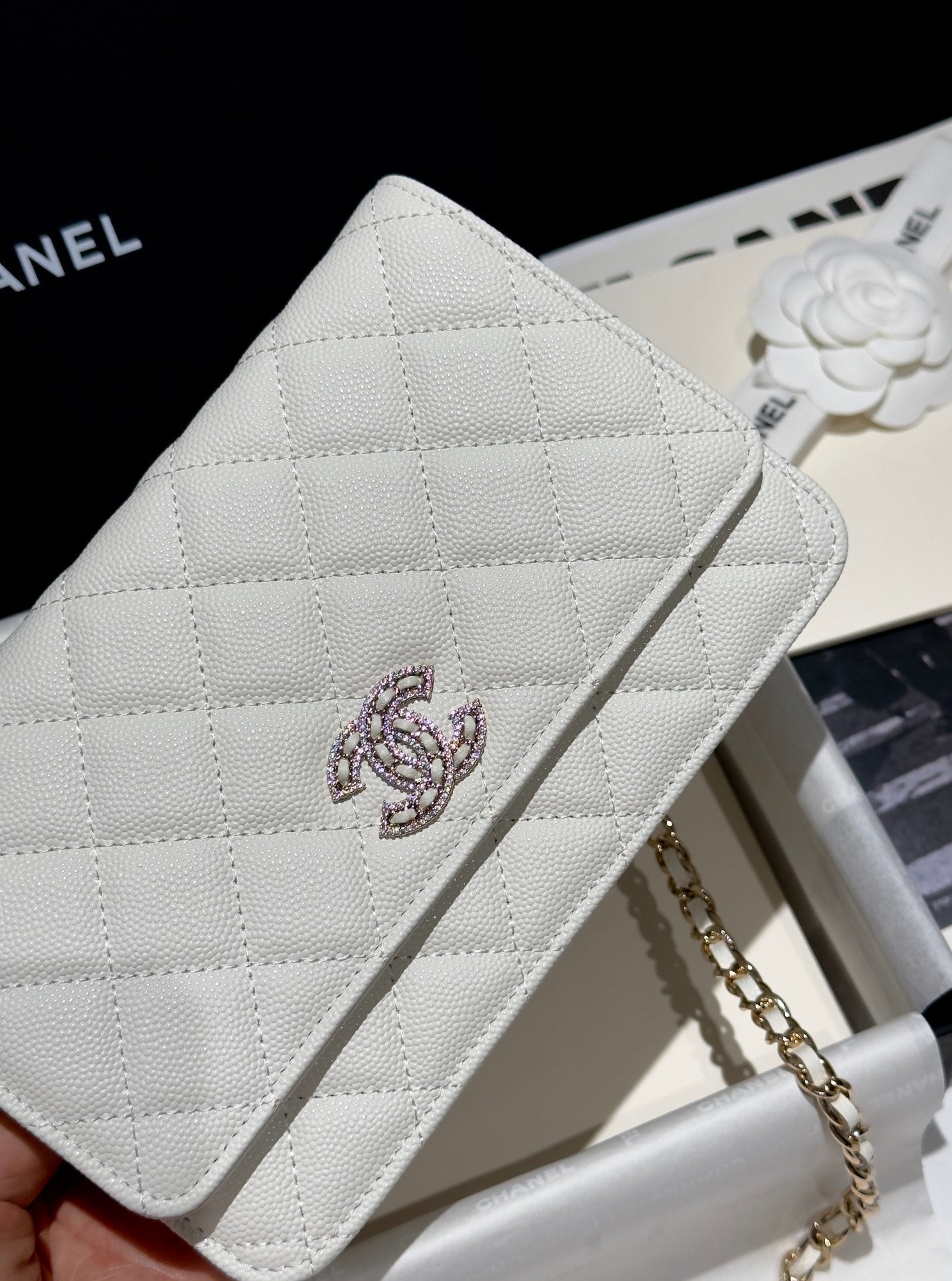 Diamond White Caviar Leather Wallet On Chain - Level 5