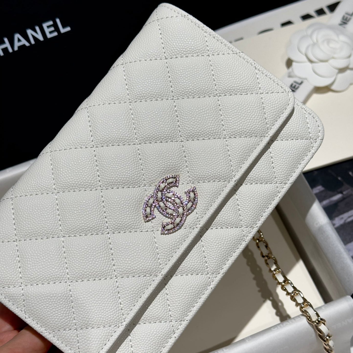 Diamond White Caviar Leather Wallet On Chain - Level 5