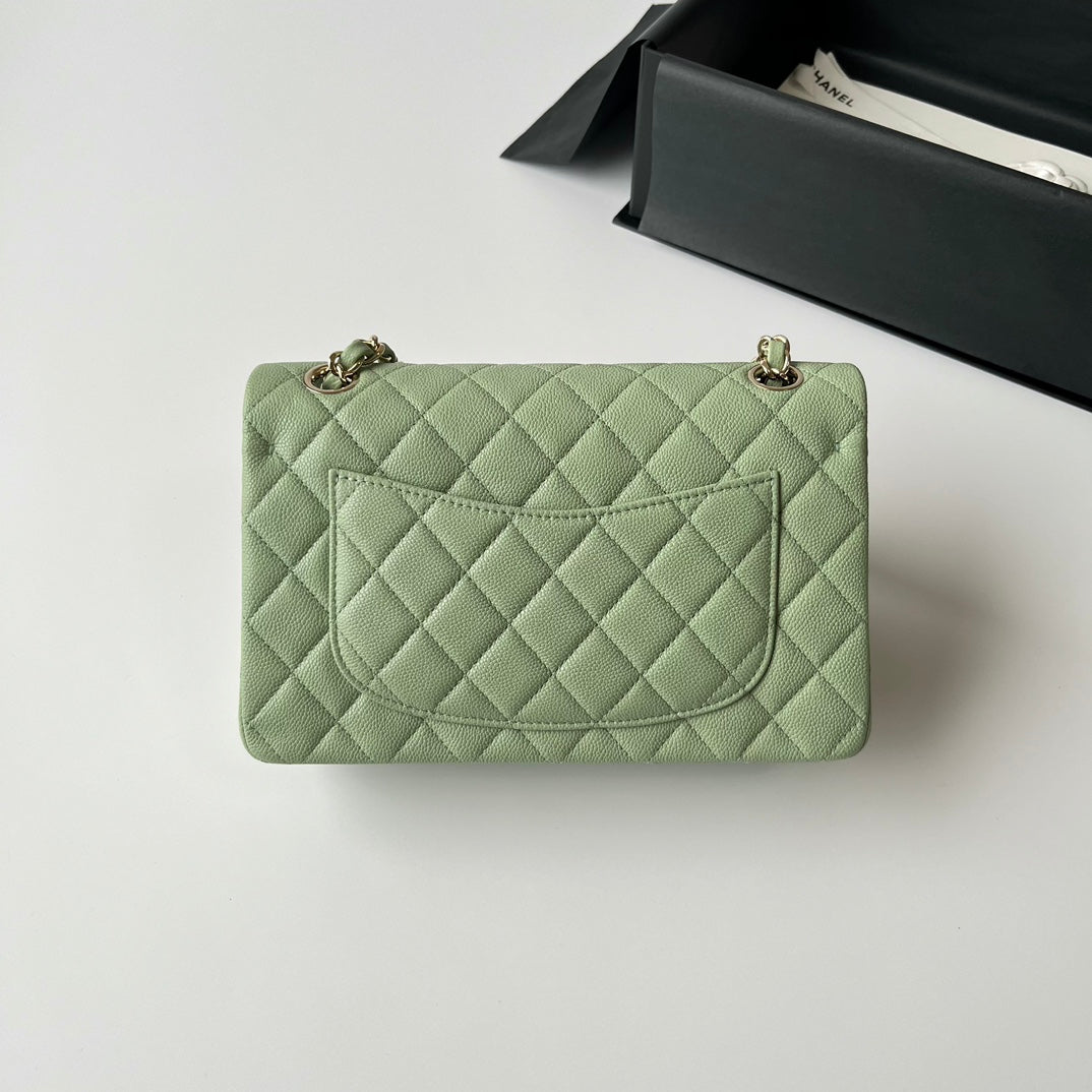 Light Green Caviar Leather Small Flap Bag CNL - Level X