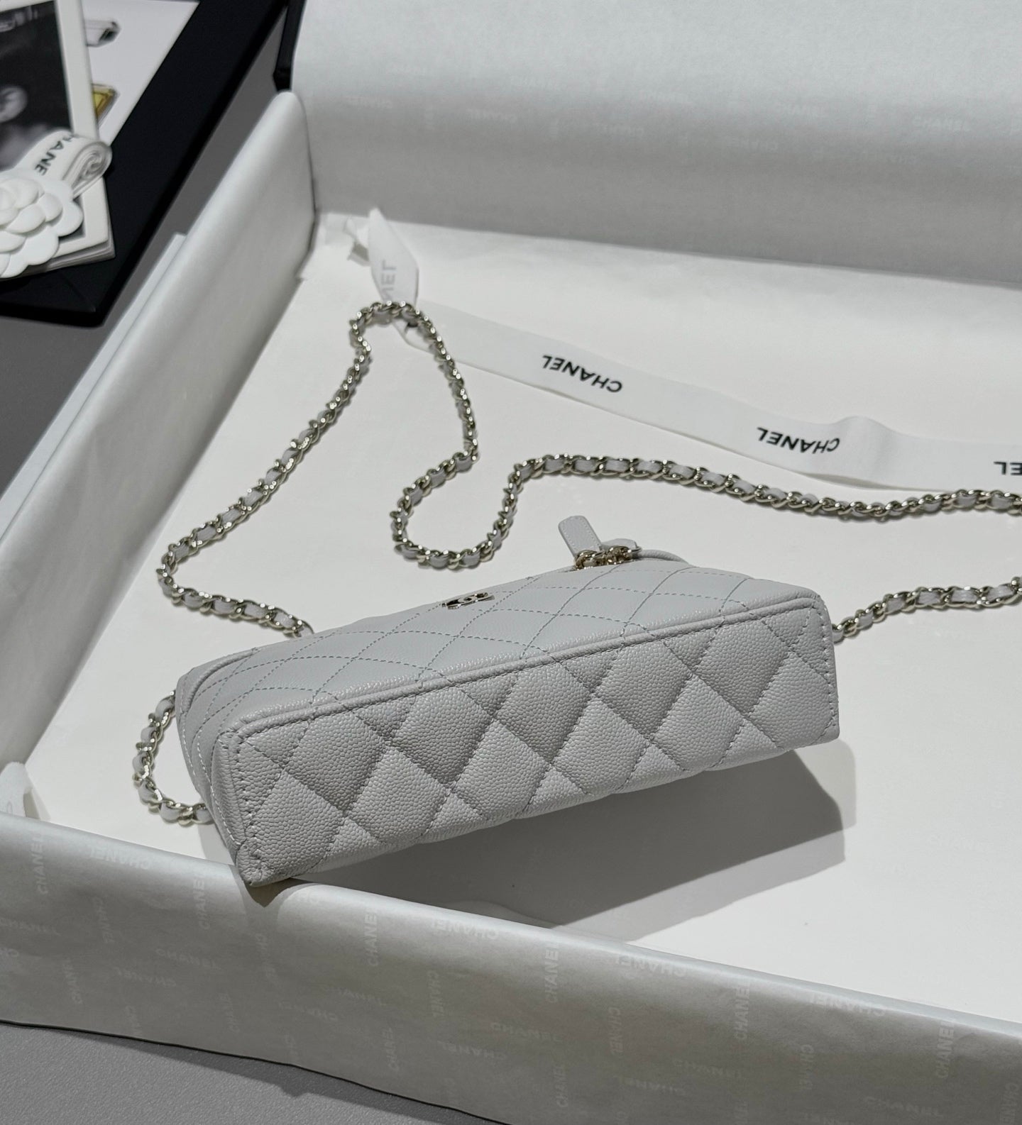 Light Grey Caviar Leather Top Handle Vanity Bag - Level 5