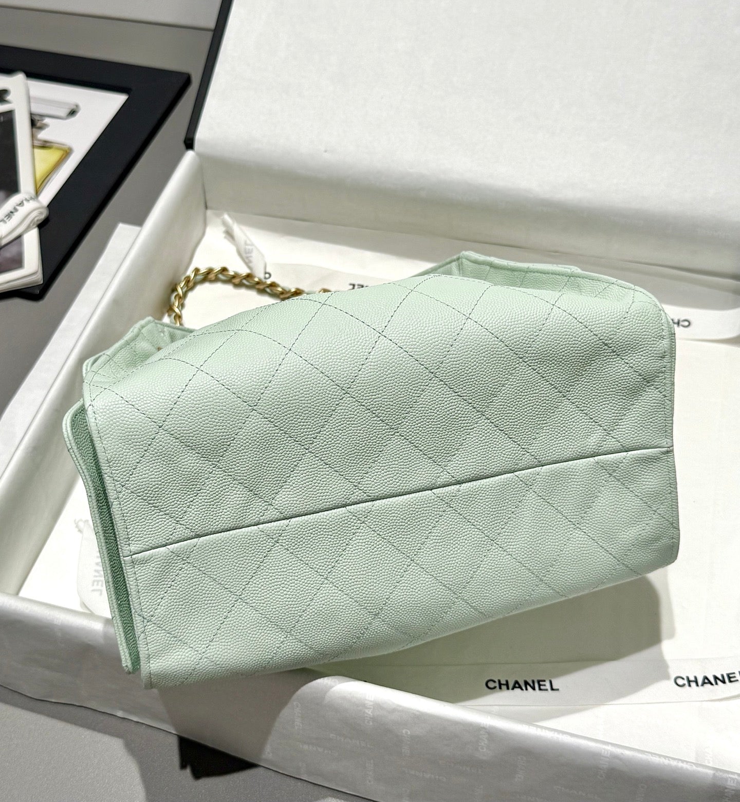 25 Hobo Bag Mint Green Caviar Leather - Level 5