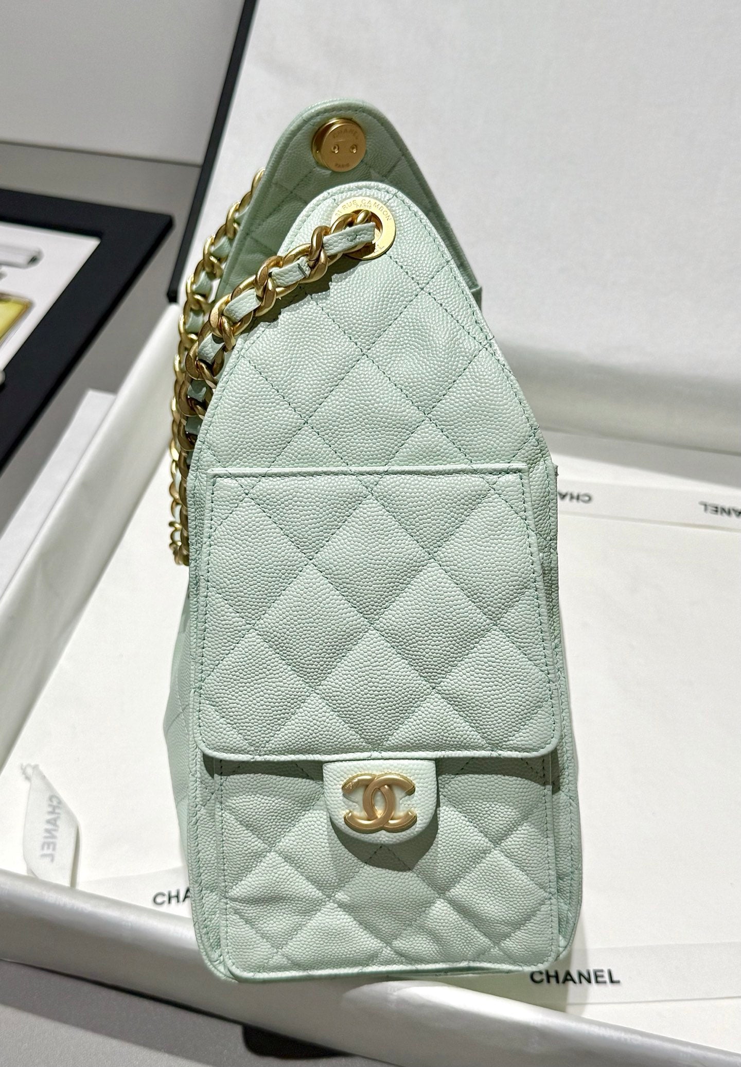 25 Hobo Bag Mint Green Caviar Leather - Level 5