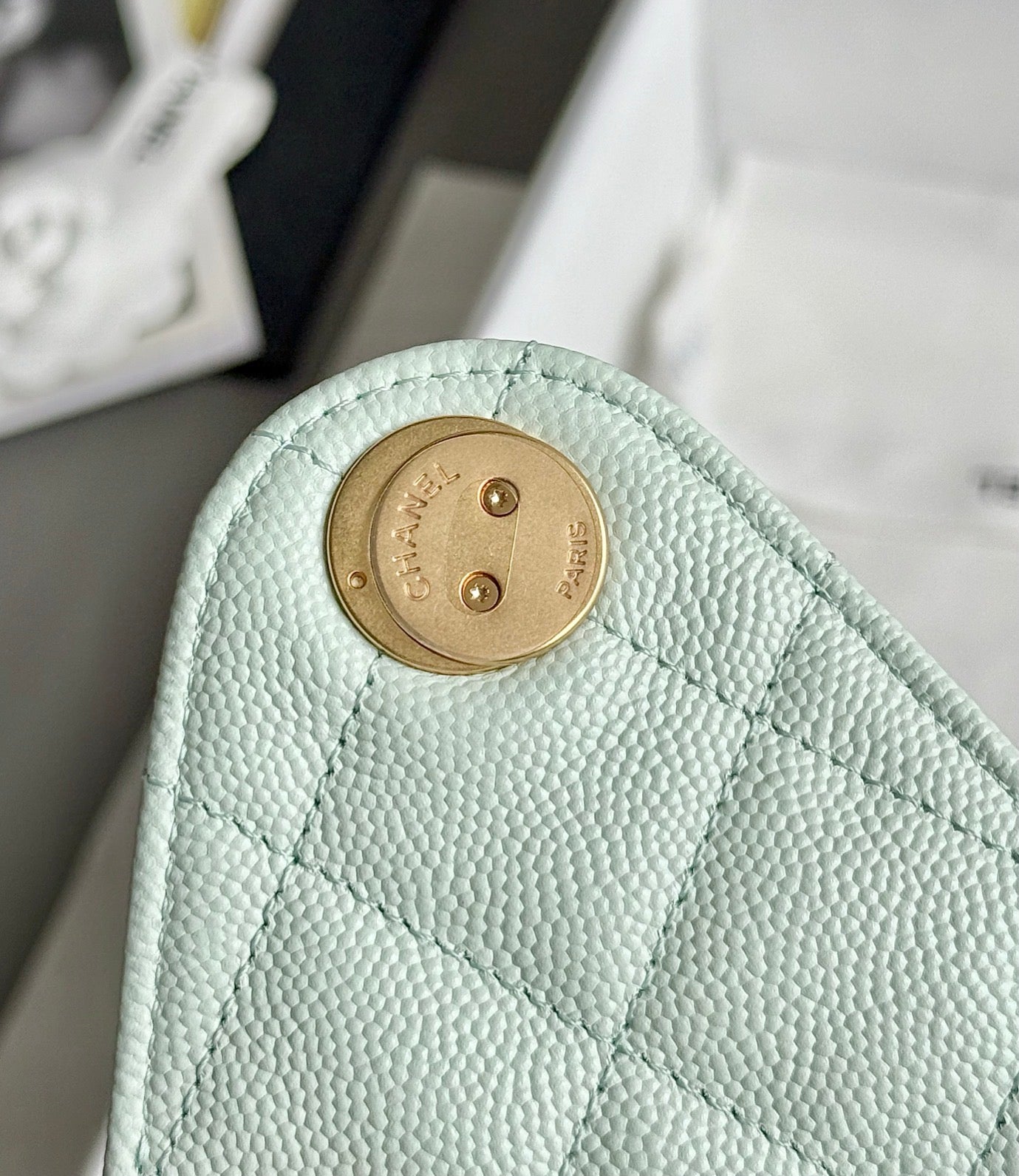 25 Hobo Bag Mint Green Caviar Leather - Level 5