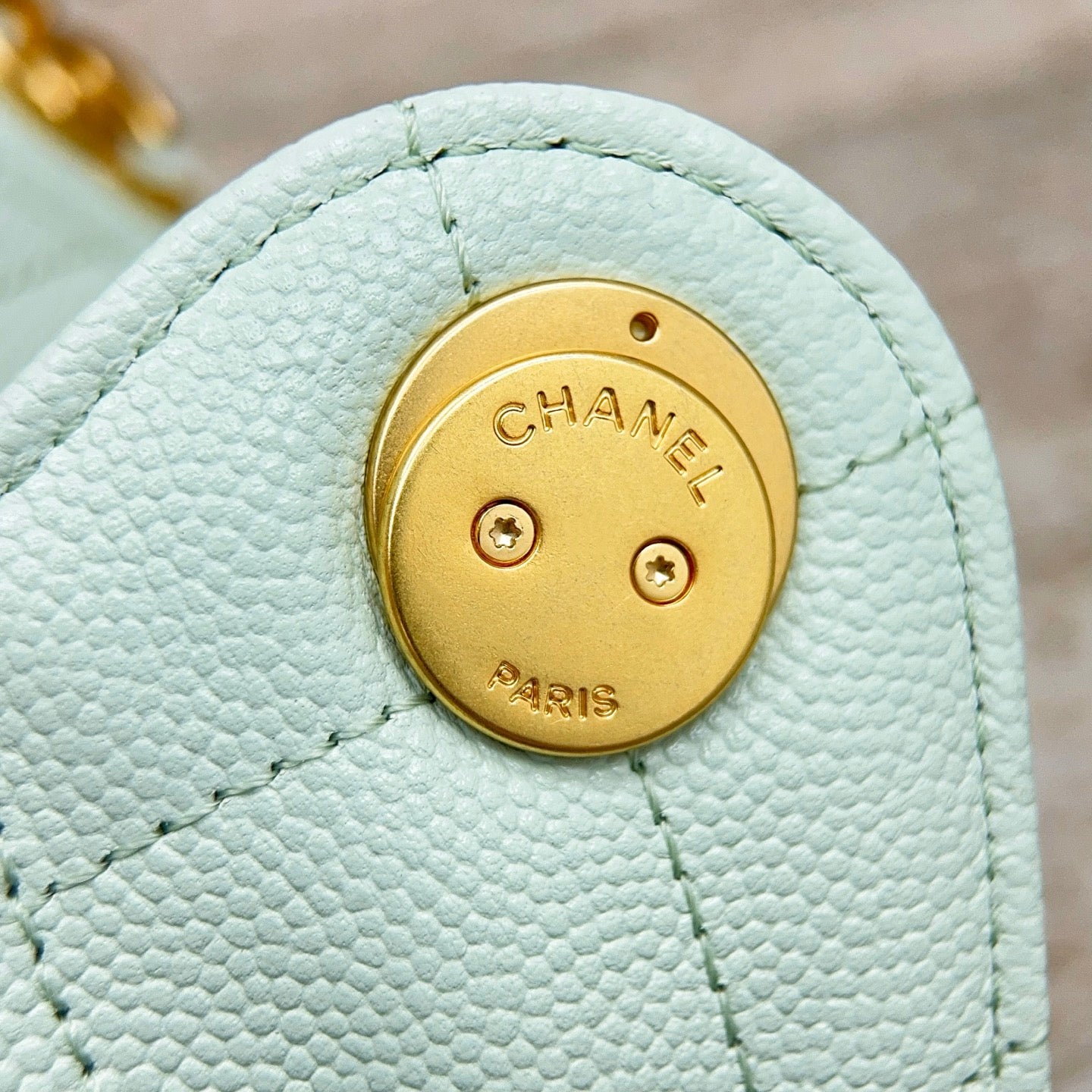 25 Hobo Bag Mint Green Caviar Leather - Level X