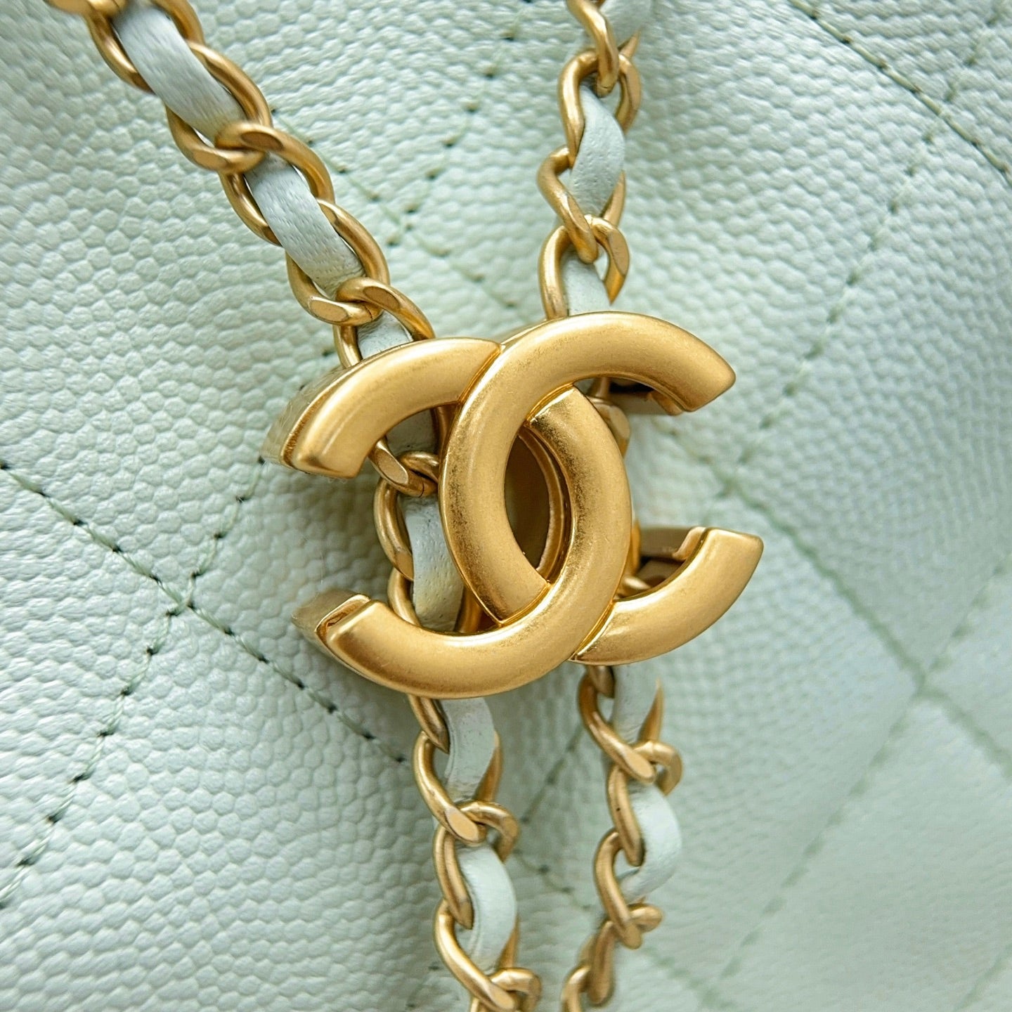 25 Hobo Bag Mint Green Caviar Leather - Level X