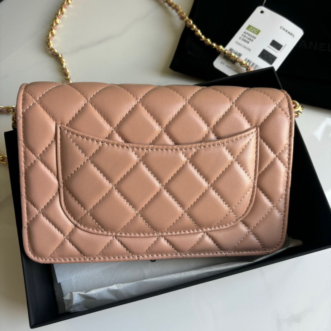 Pink Lambskin Leather Wallet On Chain - Level 5