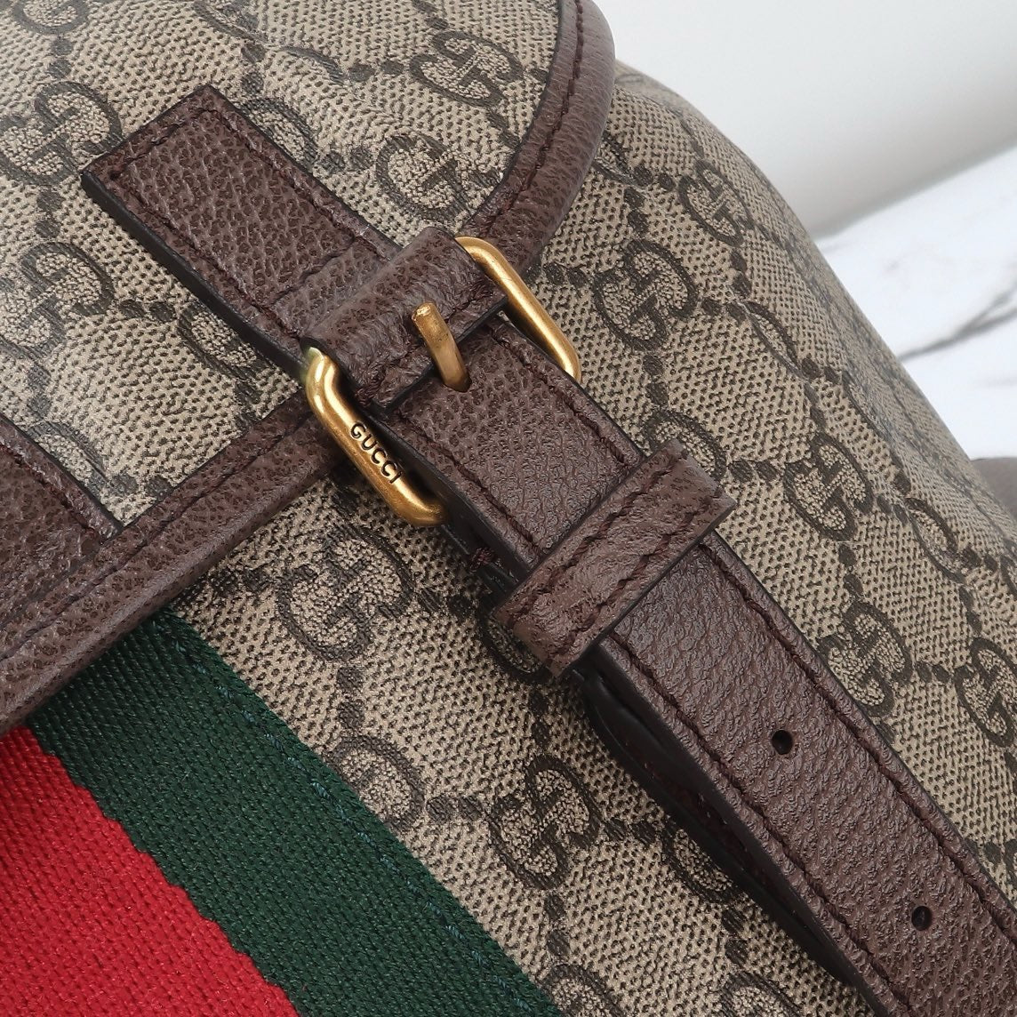 Brown Ophidia Canvas & Leather Backpack - Level 5