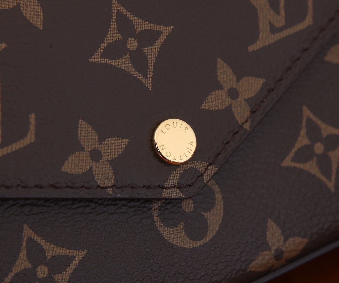 Pochette Felicie Brown Mono - Level 5