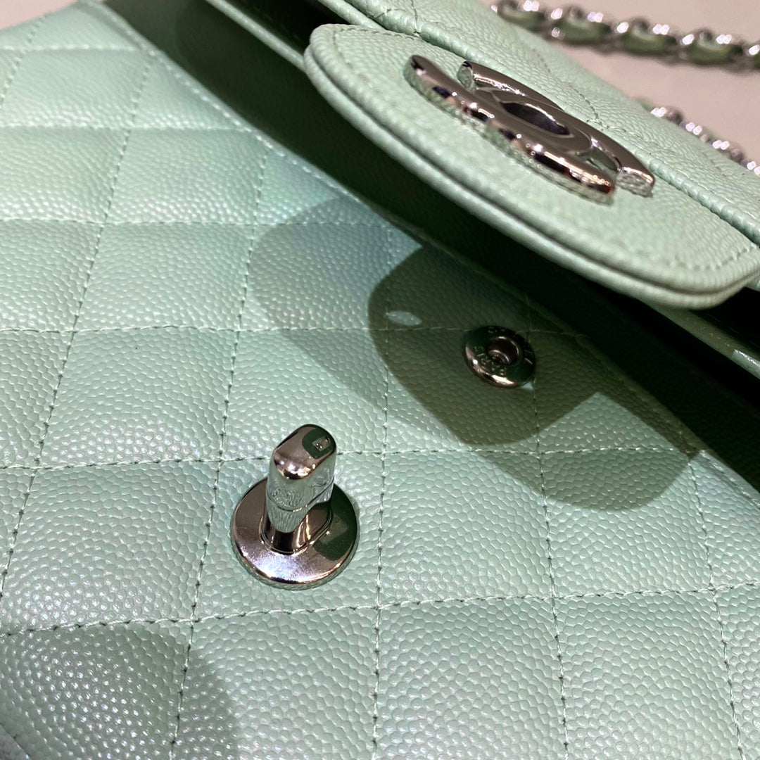 Mint Green Caviar Leather Medium Flap Bag - Level X