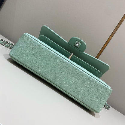 Mint Green Caviar Leather Medium Flap Bag - Level X