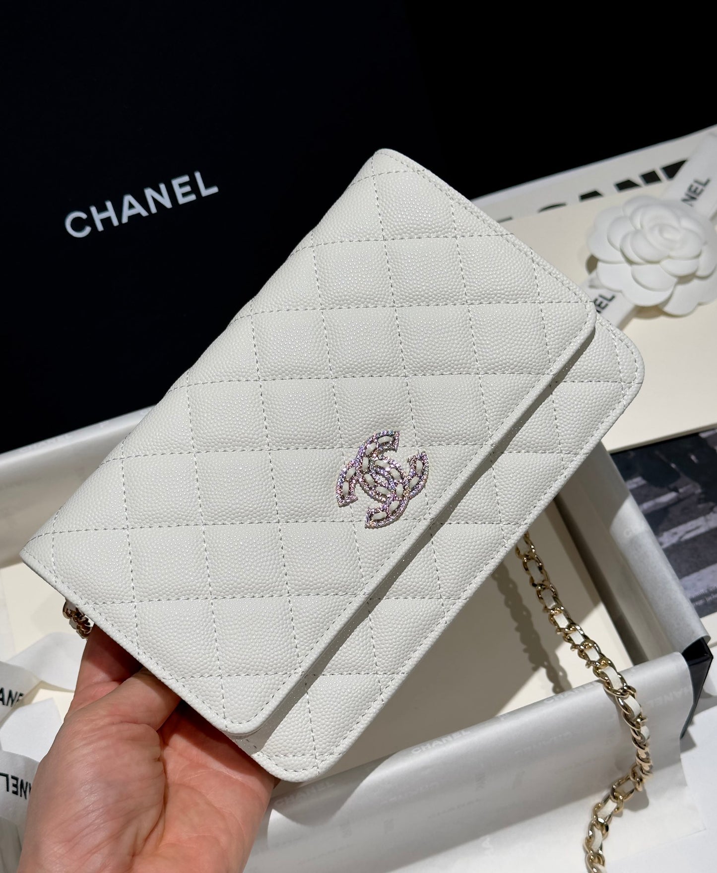 Diamond White Caviar Leather Wallet On Chain - Level 5