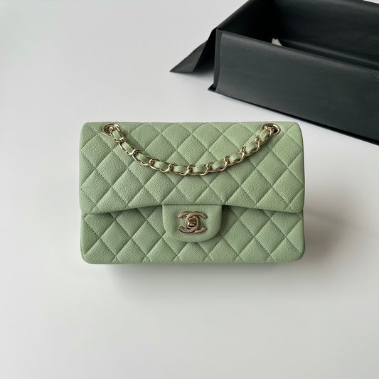 Light Green Caviar Leather Small Flap Bag CNL - Level X