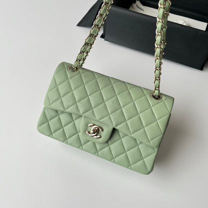 Light Green Caviar Leather Small Flap Bag CNL - Level X