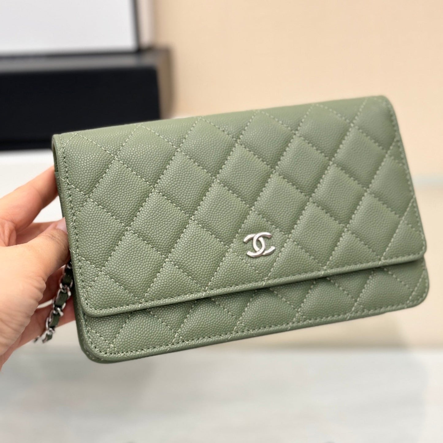 Wallet On Chain Green CNL - Level X