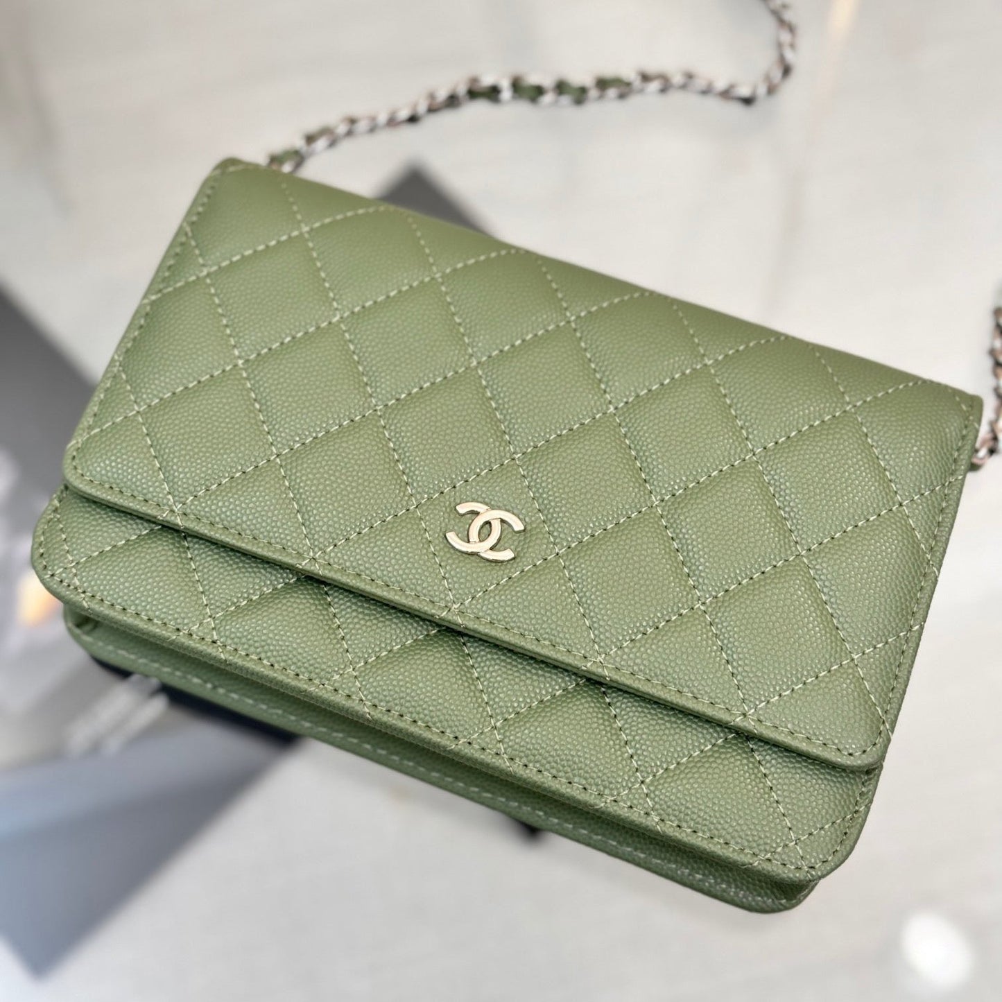 Wallet On Chain Green CNL - Level X