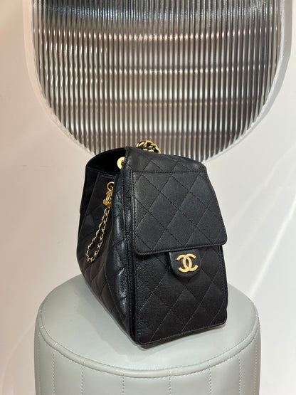 25 Hobo Bag Black Caviar Leather - Level X