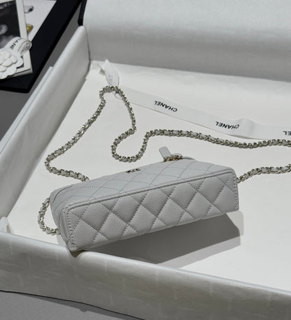 Light Grey Caviar Leather Top Handle Vanity Bag - Level 5