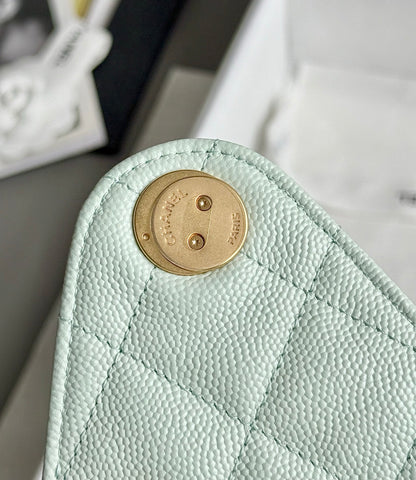 25 Hobo Bag Mint Green Caviar Leather - Level 5