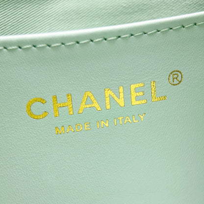 25 Hobo Bag Mint Green Caviar Leather - Level X